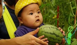 最新免费吃瓜q群,畅享最新资讯，共享欢乐时光