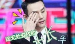 娱乐圈最新爆料王凯小说